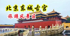 插入萝莉jav中国北京-东城古宫旅游风景区